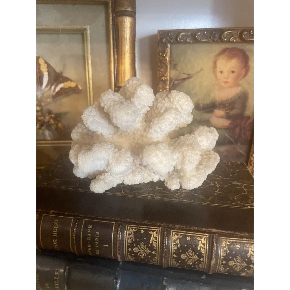 N/A natural decorative
